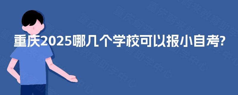 重庆2025哪几个学校可以报小自考?
