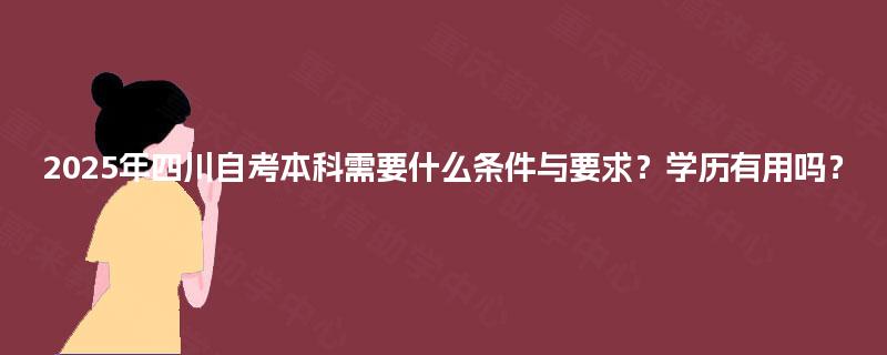 2025年四川自考本科需要什么条件与要求？学历有用吗？