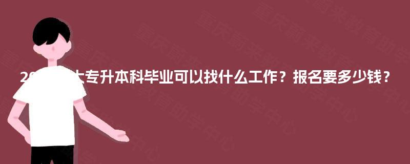 2025年大专升本科毕业可以找什么工作？报名要多少钱？