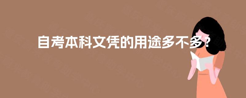 自考本科文凭的用途多不多？