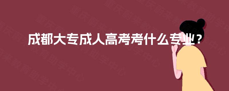 成都大专成人高考考什么专业？