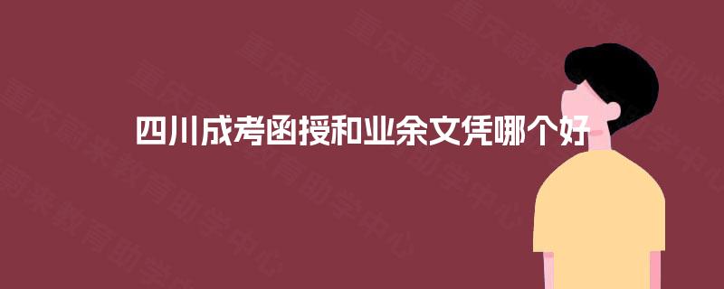 四川成考函授和业余文凭哪个好