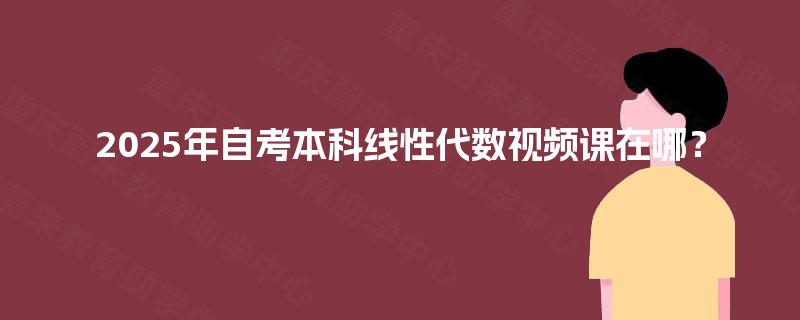 2025年自考本科线性代数视频课在哪？