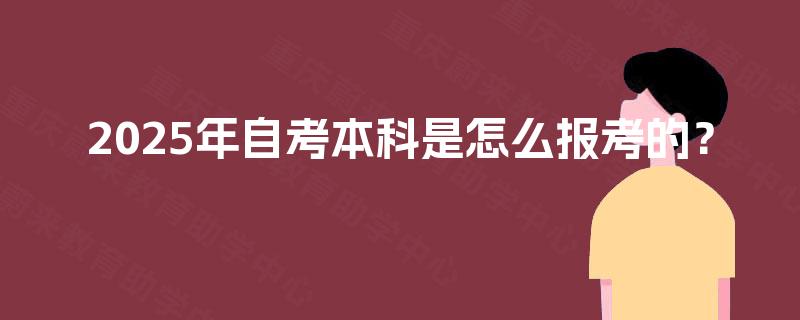 2025年自考本科是怎么报考的？