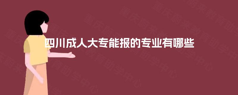 四川成人大专能报的专业有哪些