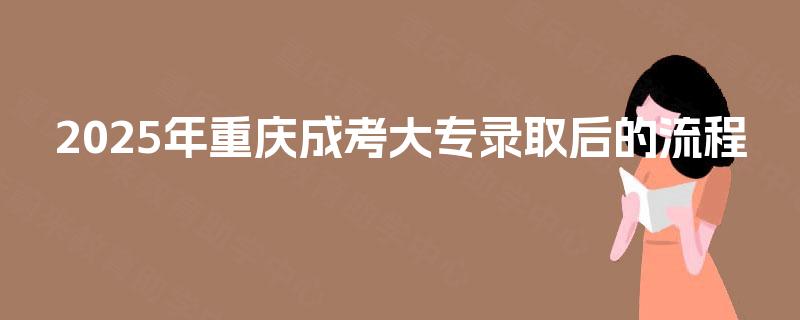 2025年重庆成考大专录取后的流程
