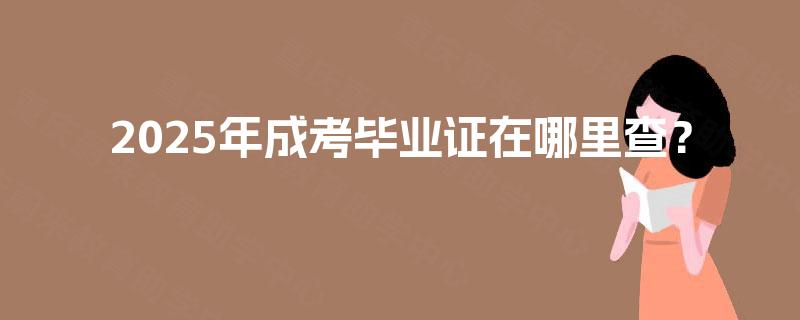 2025年成考毕业证在哪里查？