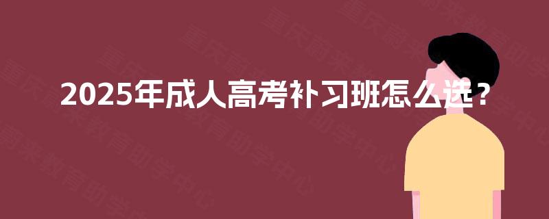 2025年成人高考补习班怎么选？