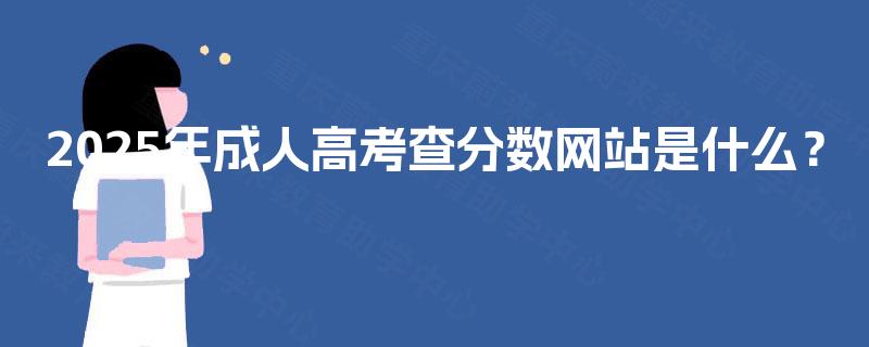 2025年成人高考查分数网站是什么？