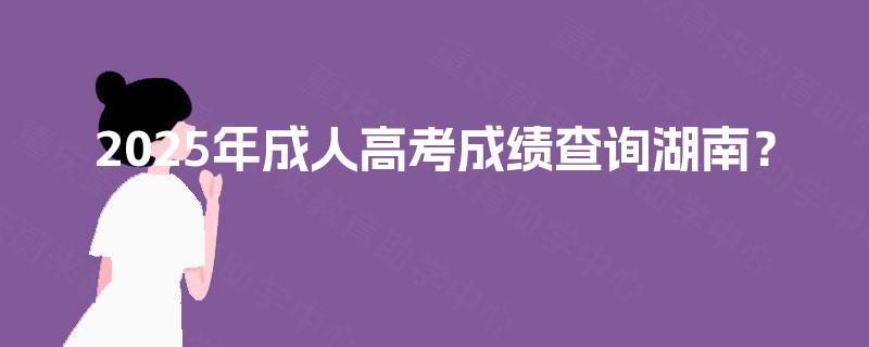 2025年成人高考成绩查询湖南？