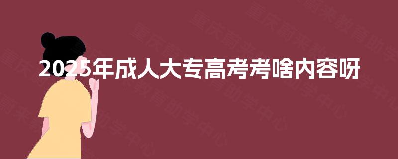 2025年成人大专高考考啥内容呀