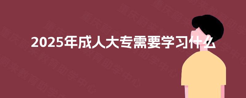 2025年成人大专需要学习什么