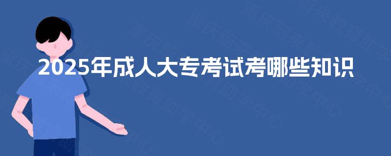 2025年成人大专考试考哪些知识