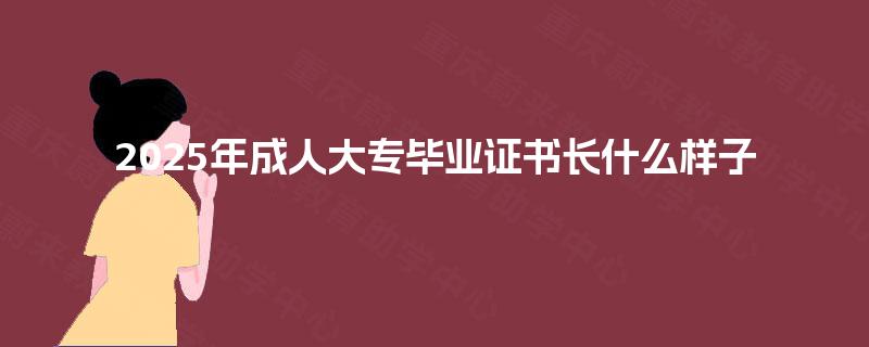 2025年成人大专毕业证书长什么样子