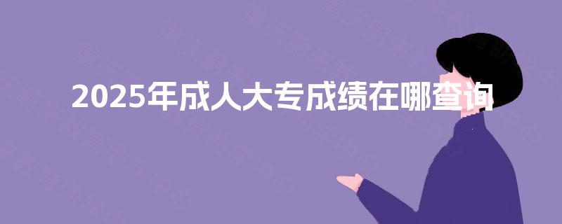 2025年成人大专成绩在哪查询