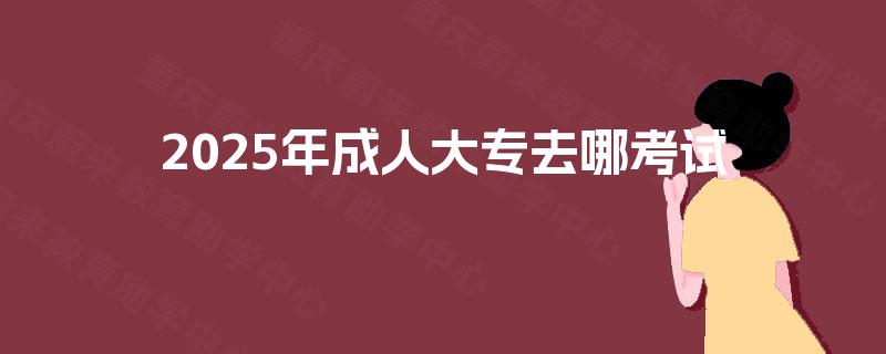 2025年成人大专去哪考试