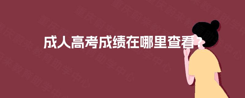 成人高考成绩在哪里查看？