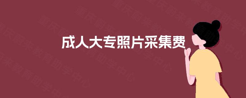 成人大专照片采集费