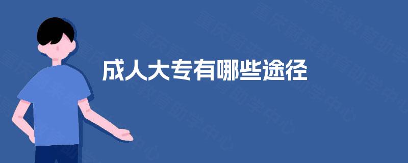 成人大专有哪些途径