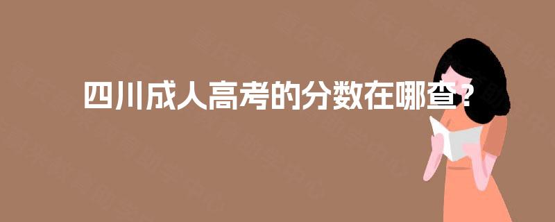 四川成人高考的分数在哪查？