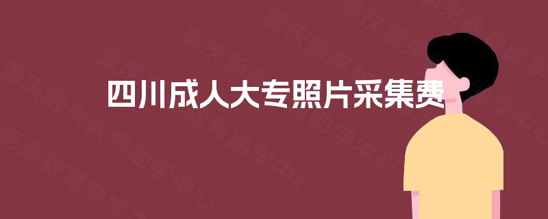 四川成人大专照片采集费
