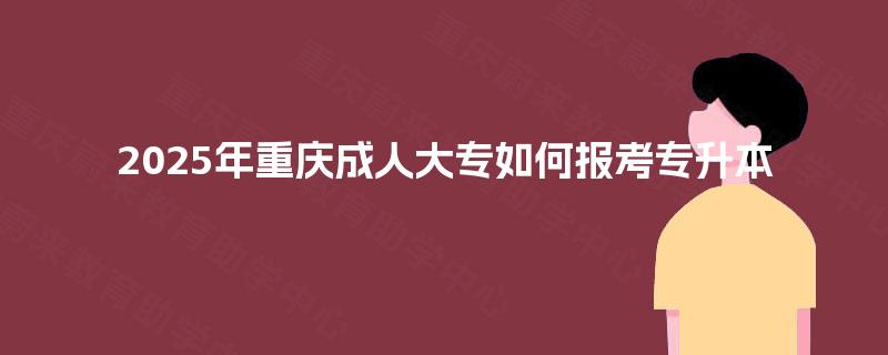 2025年重庆成人大专如何报考专升本
