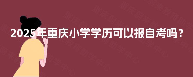 2025年重庆小学学历可以报自考吗？