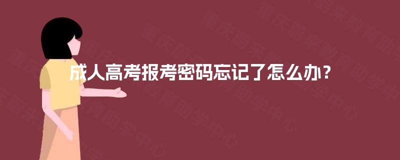 成人高考报考密码忘记了怎么办？