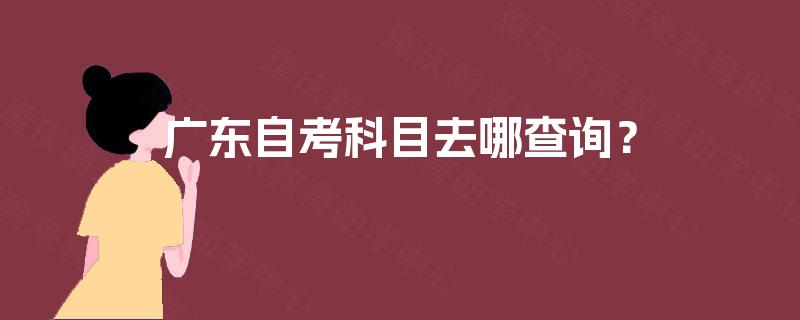 广东自考科目去哪查询？
