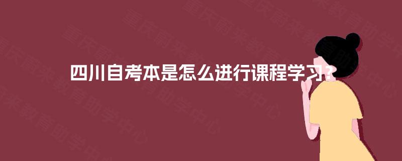 四川自考本是怎么进行课程学习？