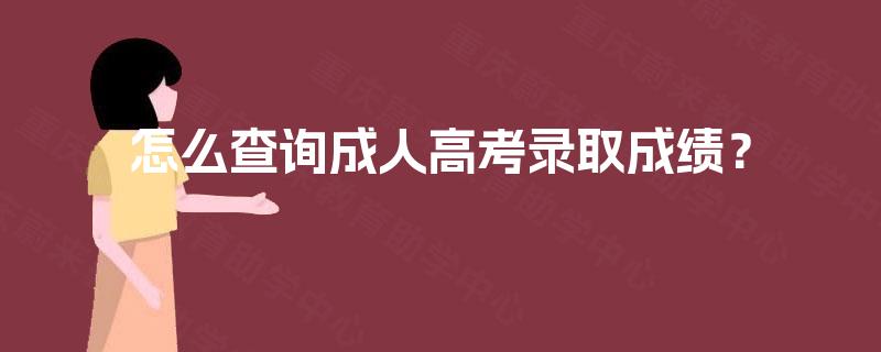 怎么查询成人高考录取成绩？
