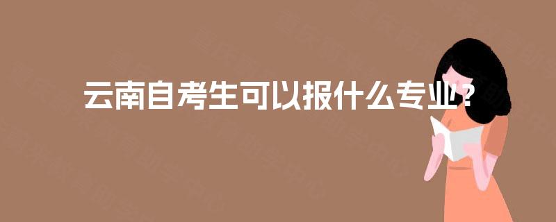 云南自考生可以报什么专业？