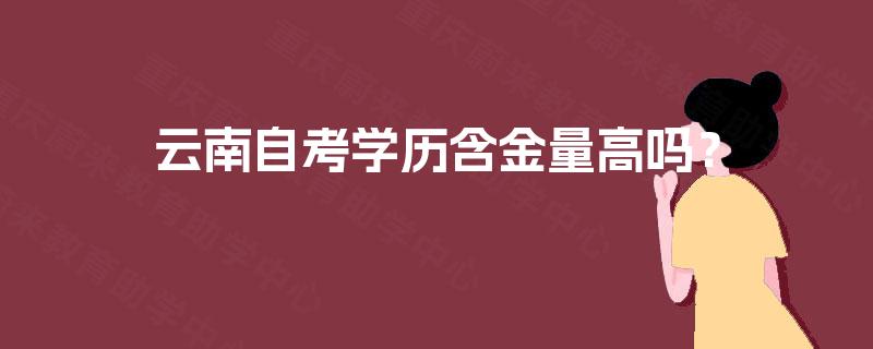 云南自考学历含金量高吗？